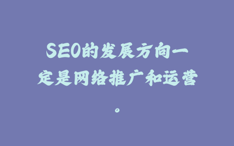 SEO的发展方向一定是网络推广和运营。_皮站网
