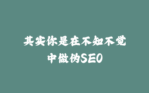 其实你是在不知不觉中做伪SEO_皮站网